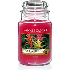 Yankee Candle Tropical Jungle große Kerze 623 g