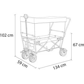 Axi Bollerwagen AB210 grau mit Dach, Tasche, Bremse und Schiebestange