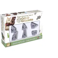 Steamforged Cats and Catacombs: Volume 2,Grey