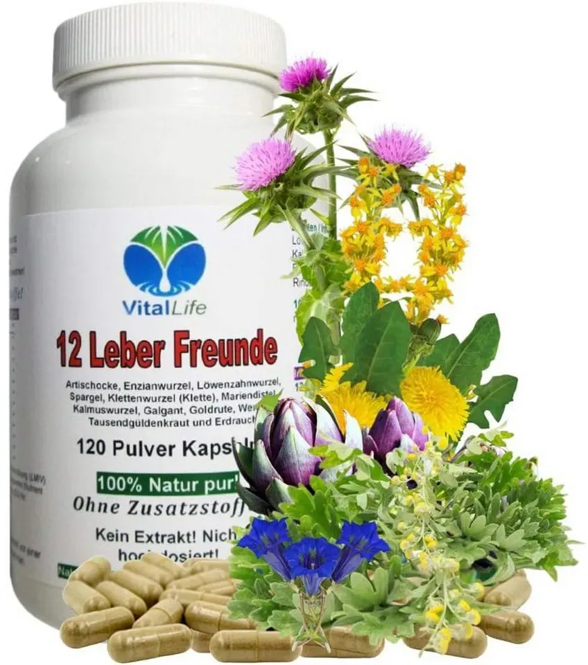 12 kr�uter leber
