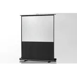 Celexon Ultramobil Plus Professional 180x101 16:9