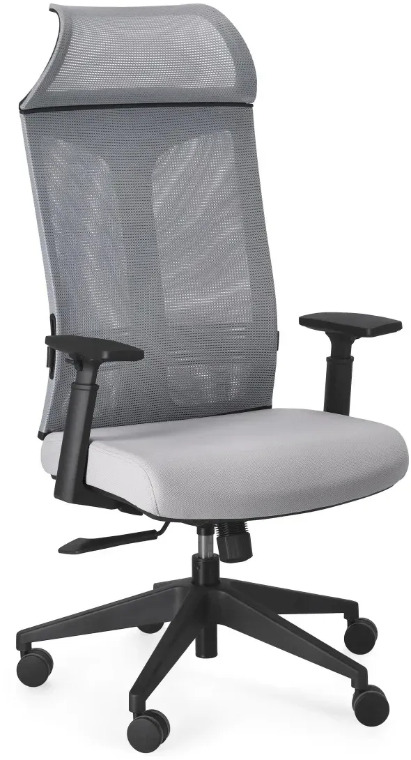 Bürostuhl Killian mit Armlehne, ergonomisches Design aus Netzgewebe, grau, verstellbar für dein Büro