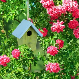 Relaxdays Deko Vogelhaus Hellblau
