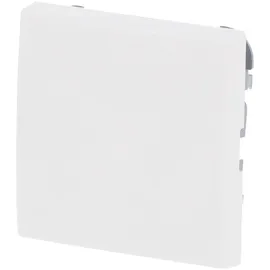 Busch-Jaeger Wippe 2506-914