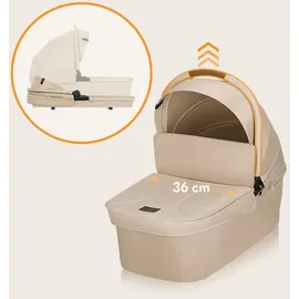 lionelo MERIL 3-in-1 Multifunktionaler Kinderwagen 0-48 Monate Bis zu 22 kg, Babywanne bis zu 9 kg, Kindersitz bis zu 13 kg, Geländeräder 360°, Vollfederung, XXL-Verdeck mit UPF50+