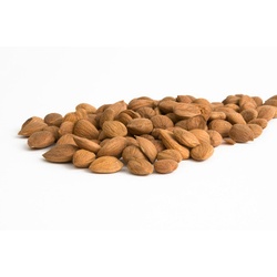 Aprikosenkerne bitter - bio & roh (0.2kg)