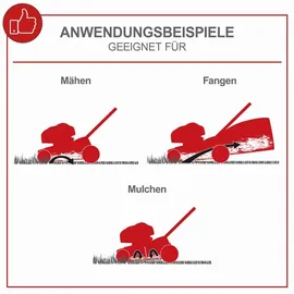 SCHEPPACH Benzin Rasenmäher RM420 3,5 PS 6in1 inkl. 0,6 L Motorenöl + Zweitmesser