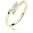 Diamore Eternal Bond RG91736A