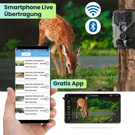 casativo-tech 4K-UHD-Wildkamera Bunt