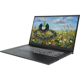 Sony JodaBook C17 Pure 17,3" Intel Core i7-1255U 8 GB RAM 500 GB SSD Win 11 Pro Schwarz