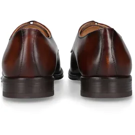 Henry Stevens Wes PD Herren Braun 40