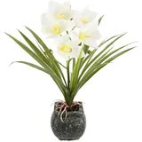 Künstliche Cymbidium-Orchidee 40cm mit Blätter und Luftwurzeln im Topf aus Keramik Blume Kunstorchidee Orchidee Phalaenopsis mit Übertopf Kunstpflanze Hochzeit Deko Seidenblume Real Blüte, creme