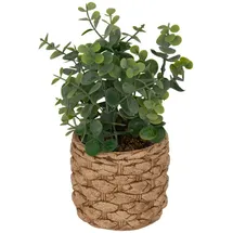 Atmosphera Créateur d'intérieur Künstlicher Eukalyptus in grün | Gr.: onesize