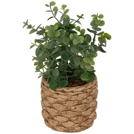 Atmosphera Créateur d'intérieur Künstlicher Eukalyptus in grün | Gr.: onesize