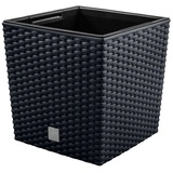 Prosperplast Rato Low 40 x 40 x 40,8 cm anthrazit