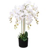 Künstliche Orchidee mit Topf 75 cm Weiß