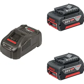 Bosch Professional Starterset 18 V Li-Ion 5,0 Ah 1600A00B8J