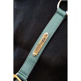 Kieffer Halfter Satin Shine Pony Mint