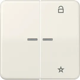 Jung Taster FM CD 1701