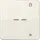 Jung Taster FM CD 1701