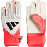 adidas Torwarthandschuhe Lucid red/Zero met./Black 3,5
