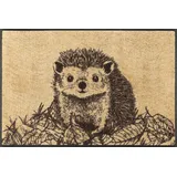 Wash+Dry Hedgy 50 x 75 cm Mehrfarbig