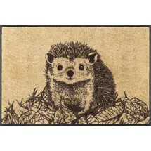 Wash+Dry Hedgy 50 x 75 cm Mehrfarbig