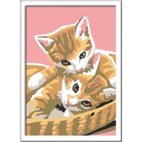 Ravensburger Malen nach Zahlen Katzenbabys