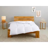 Home Affaire Daunenbettdecke HOME AFFAIRE "Tamins, Bettdecke 135x200 cm, 155x220 cm, Made in Germany", weiß, B:135cm L:200cm, Bezug: 100% Baumwolle. Füllung: 100% Daunen, Bettdecken, Sommer, Winter, Decke, Made in Germany, Allergiker geeignet (NOMITE)