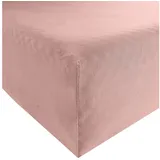 ESTELLA Spannbettlaken Feinjersey 140 x 200 - 160 x 200 cm rosa