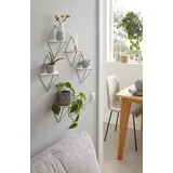 Andas Deko-Wandregal »Rauten Rudel«, (Set, 5 St.), Dekoregal, Wanddeko, aus Metall, goldfarben
