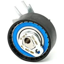 SKF Wasserpumpe + Zahnriemensatz VKMC 01121-1