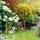 Relaxdays Rankgitter aus Holz 185 x 60 cm Natur