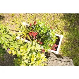 KHW Pflanzkasten 100 x 41 x 43 cm weiß