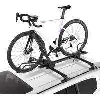 Vevor Dachfahrradträger 15 kg Tragkraft