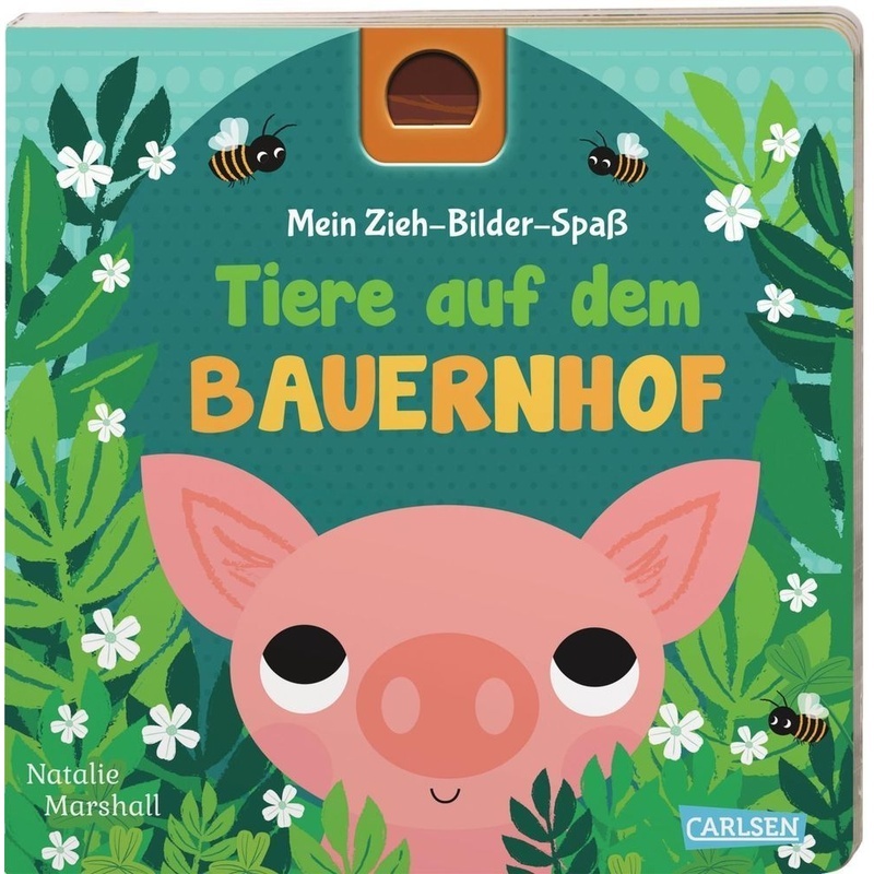 Mein Zieh-Bilder-Spaß / Mein Zieh-Bilder-Spaß: Tiere Auf Dem Bauernhof - Julia Hofmann  Pappband