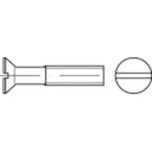 TOOLCRAFT Senkschrauben M6 65 mm 50 Stück
