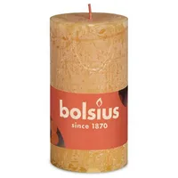 Bolsius  Rustik Stumpenkerze 10 x 5 cm honigwabengelb