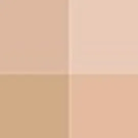 Sensai Cellular Performance Foundations Pressed Powder