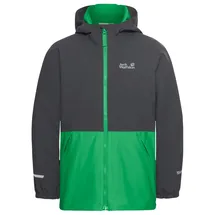 Jack Wolfskin Winterjacke Snowy Days in grün