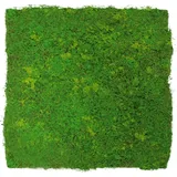 Jangal Akustikpaneel Modular Wall System Design Moos, Hellgrün, Kunststoff, 52x52x3.2 cm, Handmade Quality, Montage ohne Bohren, Tapeten & Wandverkleidungen, Akustikpaneele