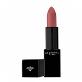 Stendhal Matte Effect Lipstick 105 Rose Terracotta 3.8g