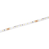 lampenwelt.de Radium Essence 500 LED-Strip, 5 m, 18W, 6.500K