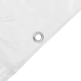vidaXL Transparente Plane 600 x 800 cm Transparent