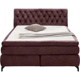 Jockenhöfer Boxspringbett JOCKENHÖFER GRUPPE "Scarlett mit einer hochwertigen 7-Zonen-Tonnentaschenfederkernmatratze", lila (aubergine 423, 15), B:192cm L:230cm, Bezug Bett: veloursartig (100% Polyester);Topper und Matratzenspiegel: 100% Polyester, Komplettbetten,