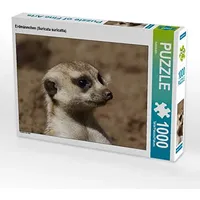 Calvendo Puzzle Erdmännchen (Suricata suricatta) 1000 Teile Puzzle quer