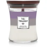 WoodWick Trilogy Amethyst Sky Duftkerze mit Holzdocht 275 g