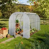 TOOLPORT Foliengewächshaus Gewächshaus 2x3m Premium mit schwenkbarer Türkonstruktion PE-Plane weiß transparent