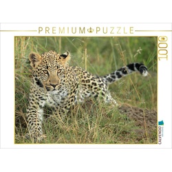 CALVENDO Puzzle CALVENDO Puzzle Leoparden – Kleiner unterwegs 1000 Teile Lege-Größe 64 x 48 cm Foto-Puzzle Bild von Michael Herzog, 1000 Puzzleteile