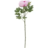 Europalms Pfingstrosenzweig Classic, pink, 80cm